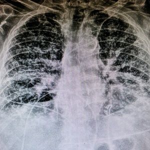 Meet your Posher, Jaz